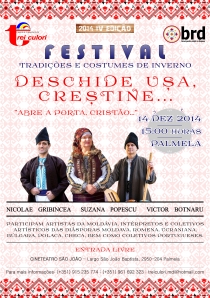 Cartaz Festival 2014