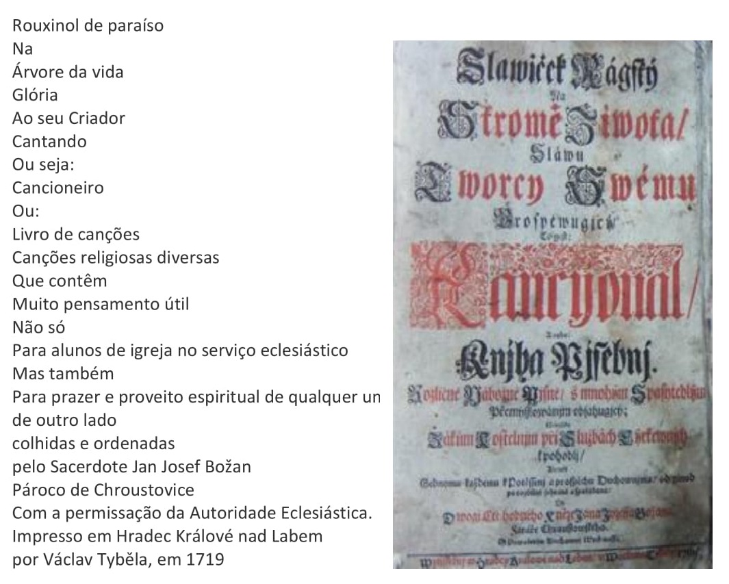 Rouxinol de paraíso-1